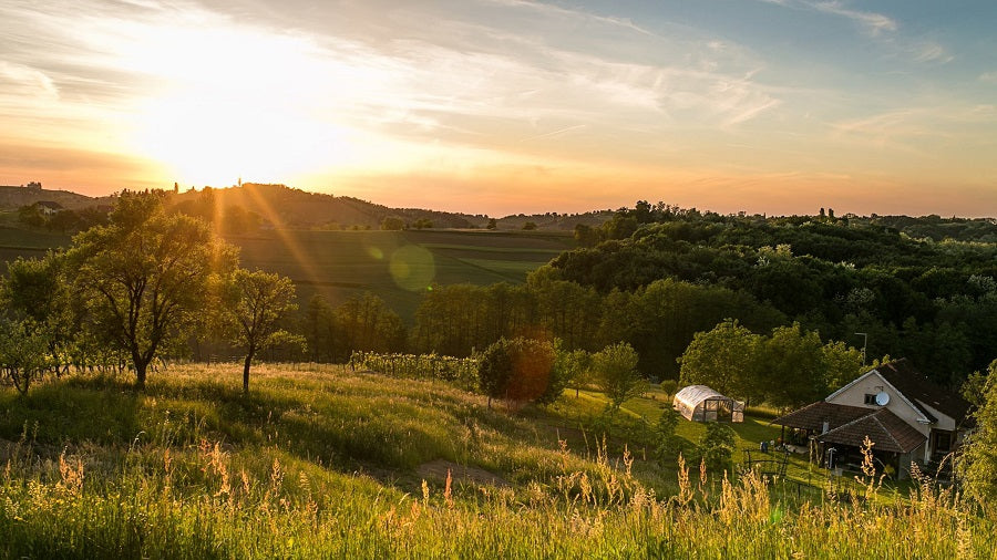 Novo - Kolovoz, 2023. - Sladoledi, šalice, čaše, bučine koštice, namazi, narukvice...